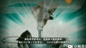 截拳李忍者爆料视频在线观看,揭秘截拳道精髓与实战技巧  第1张